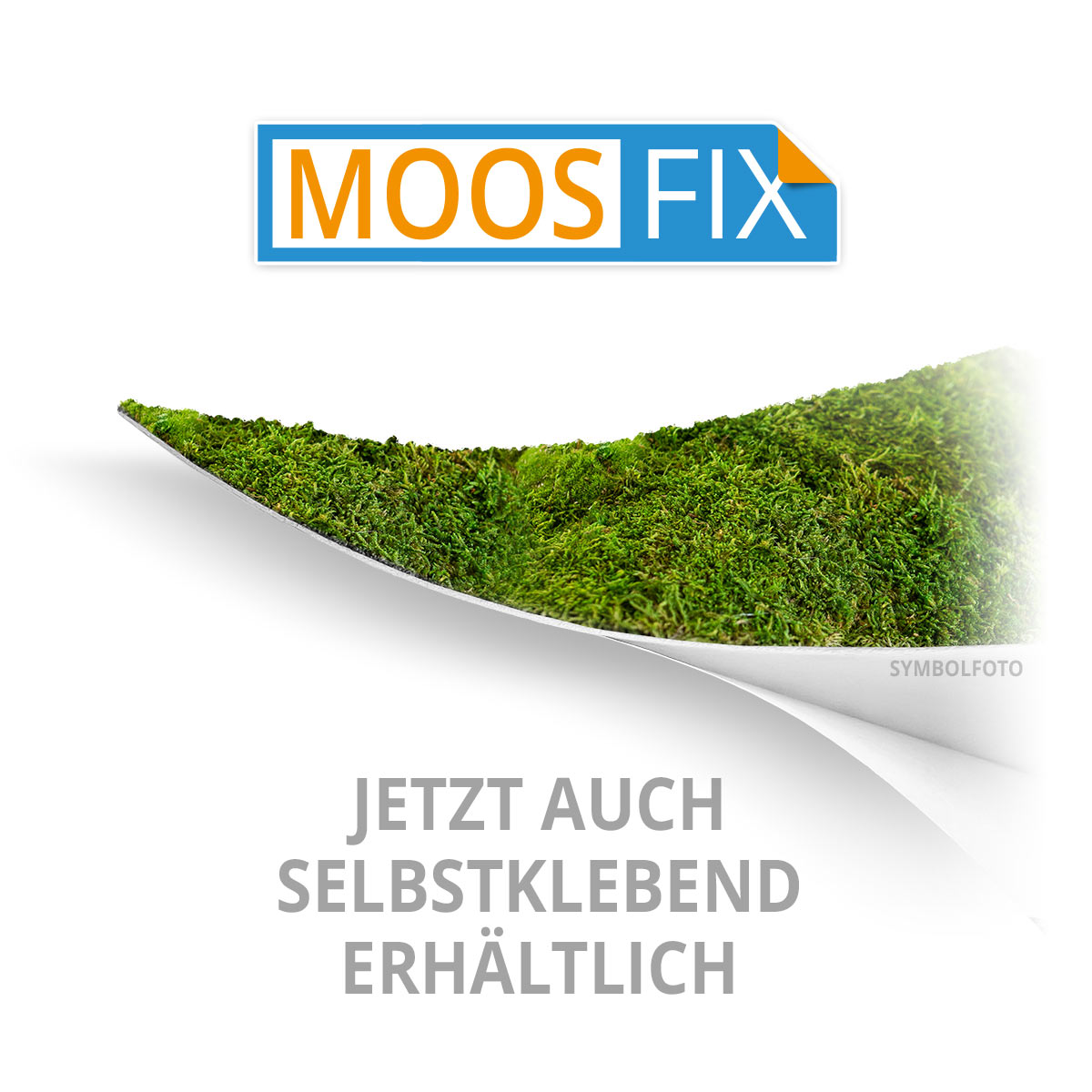 Islandmoos Logos / Schriften - Zirbe - Negativ